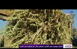 الأخبار - افتتاح موسم عصر القصب بمصنع سكر أبو قرقاص في المنيا