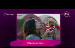 السفيرة عزيزة - لماذا قررت الفنانة المصورة " نهلة الشامي " الاتجاه إلي تصوير الحيوانات ؟