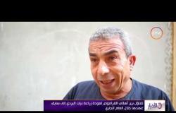 الأخبار - قراية القراموص بمحافظة الشرقية...قلعة صناعة ورق البردي في مصر