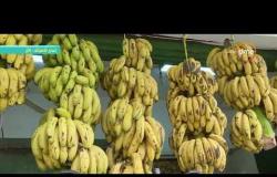 8 الصبح - كاميرا " 8 الصبح " ترصد أسعار الفاكهة والخضروات من أحد الأسواق بالقاهرة