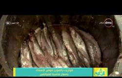 8 الصبح - طوارئ بالتموين  لتوفير الأسماك بأسعار مناسبة للمواطنين