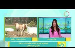 8 الصبح - نائب وزير الزراعة تتفقد استعدادات حديقة الحيوان لعيد الفطر