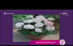 السفيرة عزيزة - م/ حسام فتح الله : زراعة الفل والياسمين و الورد صعبة في الزراعة في المنزل