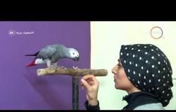 السفيرة عزيزة - تقرير عن " مبادرة ندى .. لمراعاة القطط المجروحة والطيور المصابة "