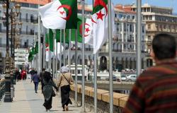 نائب جزائري: الجزائر مستعدة لتطوير علاقاتها مع إيران