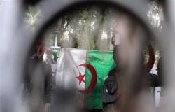 مظاهرات الجزائر: ماذا يحدث وراء الكواليس؟