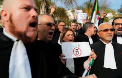 بالأوشحة السوداء... محامون جزائريون يخرجون للشوارع ضد بوتفليقة (صور)