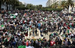 ترقب في الجزائر... دعوات نسائية للتظاهر ضد العهدة الخامسة