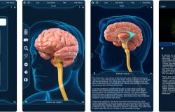 5 تطبيقات مفيدة لأطباء المخ والأعصاب