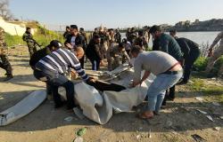مصر تعزي العراق في ضحايا عبارة دجلة