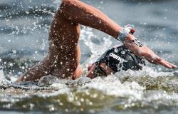 السباحة رياضة عالمية... ما أسباب محدودية شعبيتها في عالمنا العربي