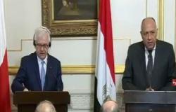 وزير الخارجية: الحملة الأمنية لتطهير سيناء تتم بمنطقة محدودة جدا من مساحتها