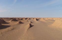 مشهد نادر... صحراء السعودية تتحول إلى مستنقعات (فيديو)