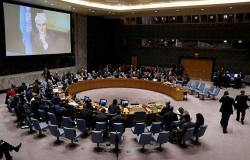 مجلس الأمن الدولي يرفض إضافة مسألة قانون اللغة في أوكرانيا إلى جدول الأعمال