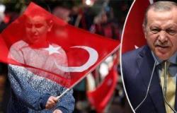 محلل سعودى: عدد من قيادات حزب أردوغان يرون سياسات الرئيس التركى تضرب حزبهم