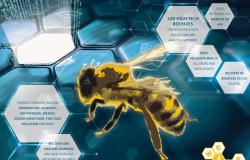 مايكروسوفت تستخدم الذكاء الاصطناعي لدراسة عالم النحل