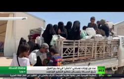 زوجات مسلحي داعش بمخيم الهول يتمسكن بتعاليم التنظيم