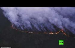 حرائق هائلة تلتهم 3 ملاين هكتار من غابات سيبيريا الروسية