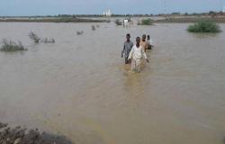 السودان: السيول تدمر 9500 منزل كلياً ووفاة 46 شخصاً