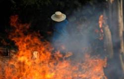 البرازيل ترسل قوات الجيش لإطفاء حرائق غابات الأمازون