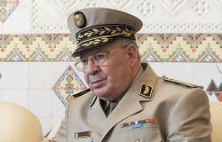 رئيس الأركان الجزائري يؤكد ضرورة إجراء الانتخابات الرئاسية في موعدها