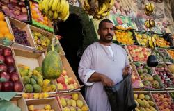 نقيب الفلاحين: مصر تحقق الاكتفاء الذاتي من الخضروات والفواكه