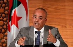 خبير جزائري: المطالب التي قدمتها "الوساطة والحوار" بينها رحيل الحكومة