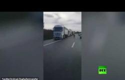 شاهد.. حمار وحشي يثير الفوضى في أحد الطرق السريعة بألمانيا