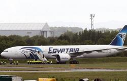 مصر... هبوط اضطراري لطائرة ونجاة ركابها بالكامل