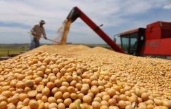 تقرير:تردد بكين للالتزام بشراء السلع الزراعية الأمريكية نقطة خلاف كبيرة