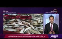 اليوم - وزارة الزراعة تعلن افتتاح موسم الصيد بمزرعة برسيق بمحافظة البحيرة
