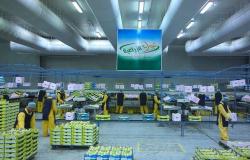 هيئة السوق السعودية توافق على تخفيض رأسمال "تبوك الزراعية"