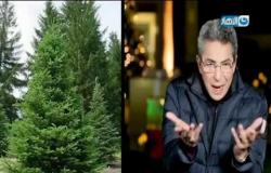 باب الخلق | محمود سعد يحكي عن سر شجرة الكريسماس