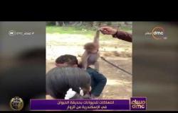 مساء dmc - انتهاكات للحيوانات بحديقة الحيوان في الإسكندرية من الزوار