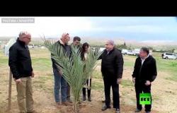 نتنياهو يزرع شجرة في غور الأردن: هذه المنطقة ستكون جزءا من إسرائيل