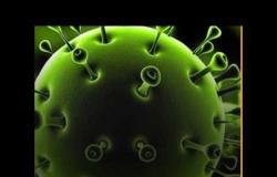 دليل الوقاية من فيروس كورونا عند استخدام الأسانسير