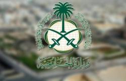 الخارجية السعودية تشيد بكفاءة الأمن المصرية في إحباط عملية إرهابية وشيكة