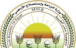 وزارة الزراعة تصرح بتسهيل دخول الصادرات الزراعية إلى دولة الكويت