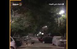 ميدان التحرير هادئ في ليلة شم النسيم بسبب كورونا