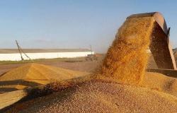 "الحبوب" تجدد دعوة الشركات للتأهيل لشراء 10% من احتياجات السعودية من القمح
