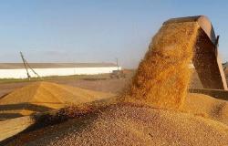 الحبوب السعودية ترسي الدفعة الثالثة من القمح المستورد لعام 2020
