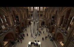 جولة افتراضية في متحف العلوم الطبيعية في لندن!