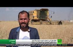 موسم حصاد القمح شمال شرق سوريا