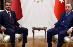 "اشتروا كل شيء وأطلقوا اسم أردوغان على حصان".. كاتب تركي يتساءل: ماذا خلف قطر؟