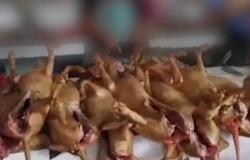 افتتاح مهرجان لحوم الكلاب المثير للجدل في الصين