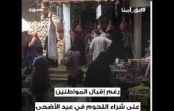"المدلعة" تنافس "اللحمة" في عيد الأضحى بطنطا