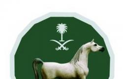 نادي سباقات الخيل يعلن استمرار تعليق جائزة المركز الأول بكأس السعودية