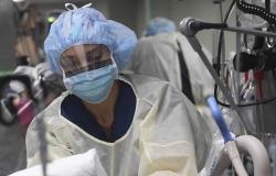 بلجيكا: 544 إصابة بفيروس كورونا