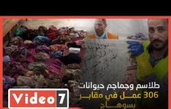 طلاسم وجماجم حيوانات.. استخراج 306 أعمال سحرية من مقابر بسوهاج