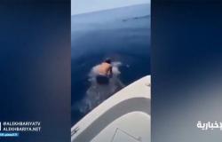 "الحربي".. فارس ومروّض الحيتان يروي قصة مقطع الفيديو الشهير له